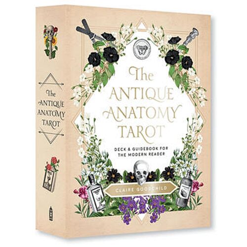Antique Anatomy Tarot Kit
